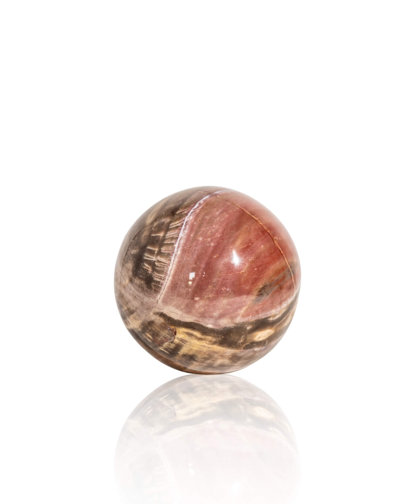 Petrified Wood Sphere - 33