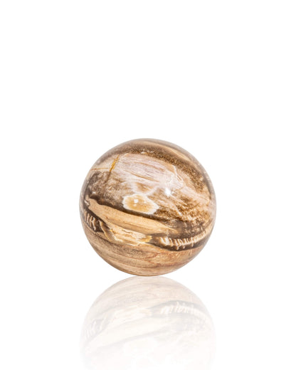Petrified Wood Sphere - 33
