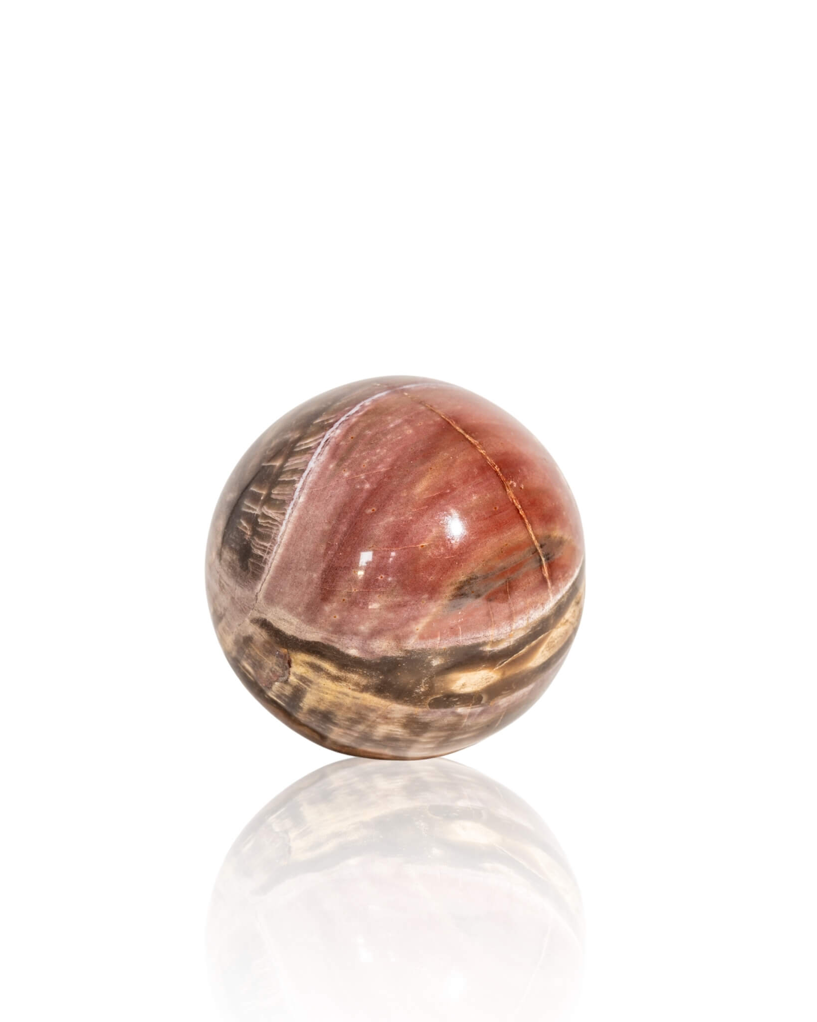 Petrified Wood Sphere - 33