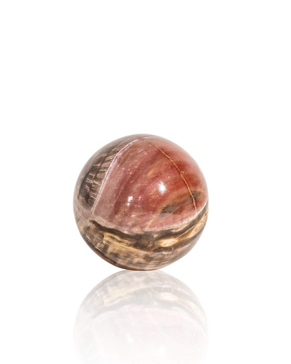 Petrified Wood Sphere - 33