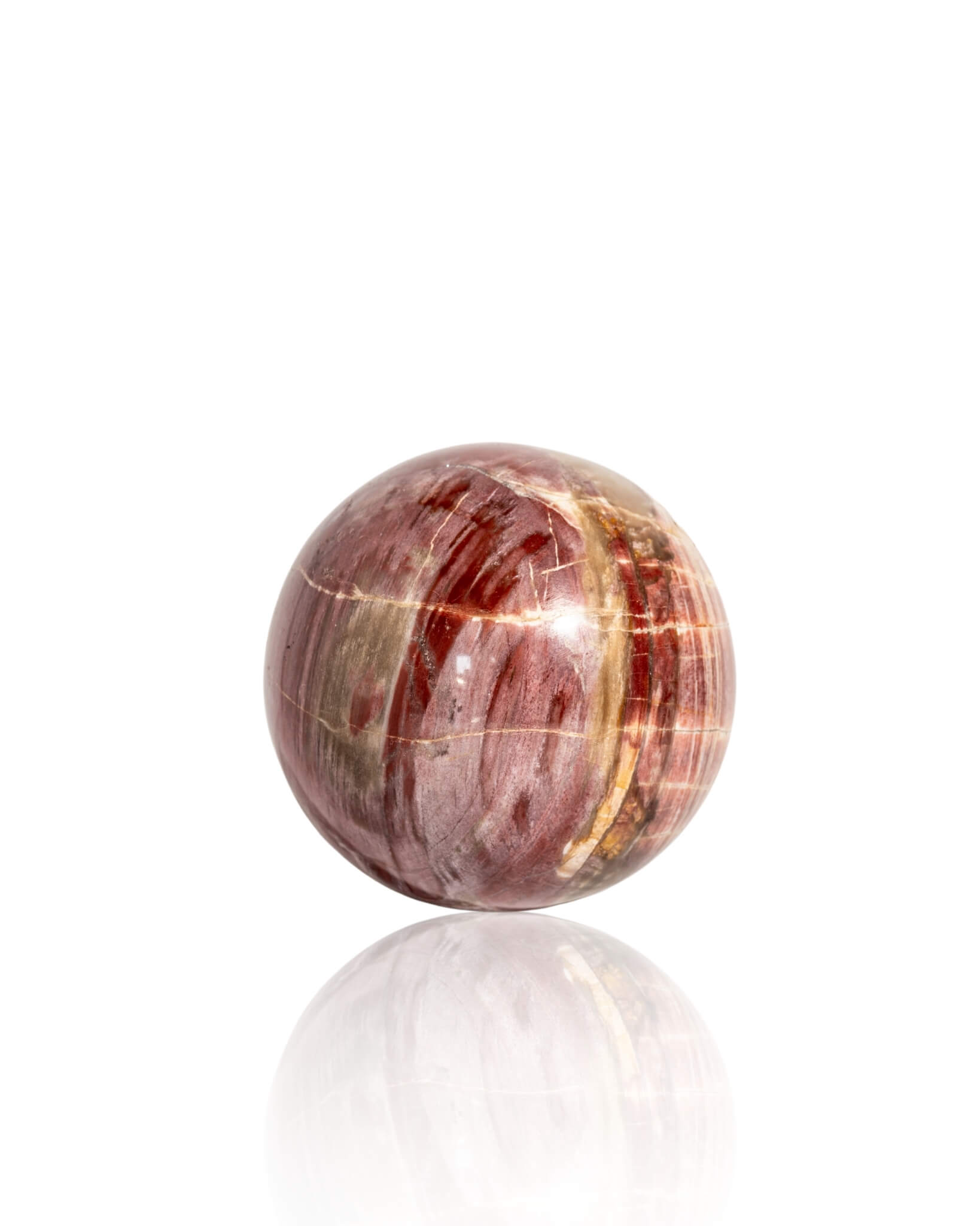 Petrified Wood Sphere - 39