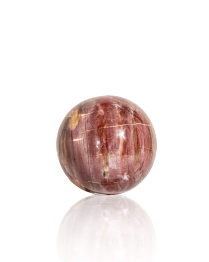 Petrified Wood Sphere - 39