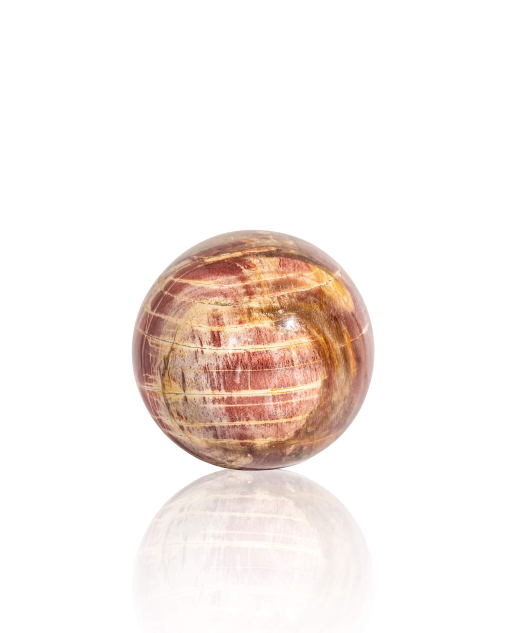 Petrified Wood Sphere - 39