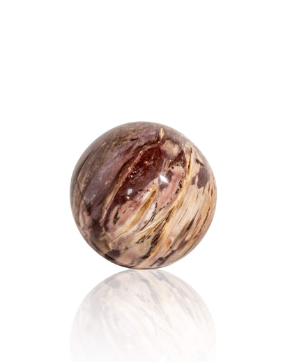Petrified Wood Sphere - 44