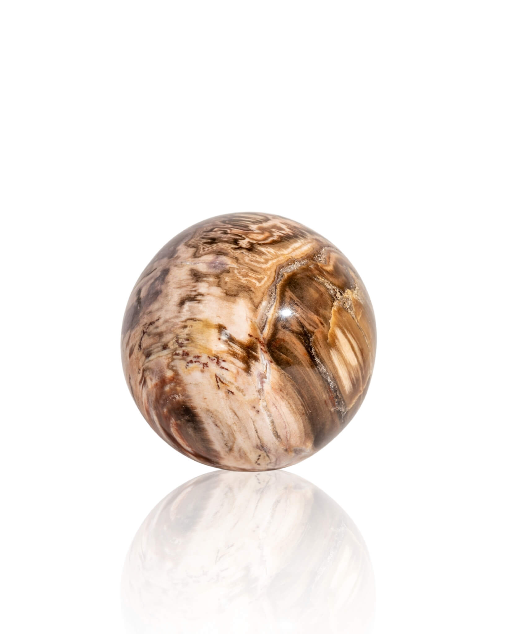 Petrified Wood Sphere - 44