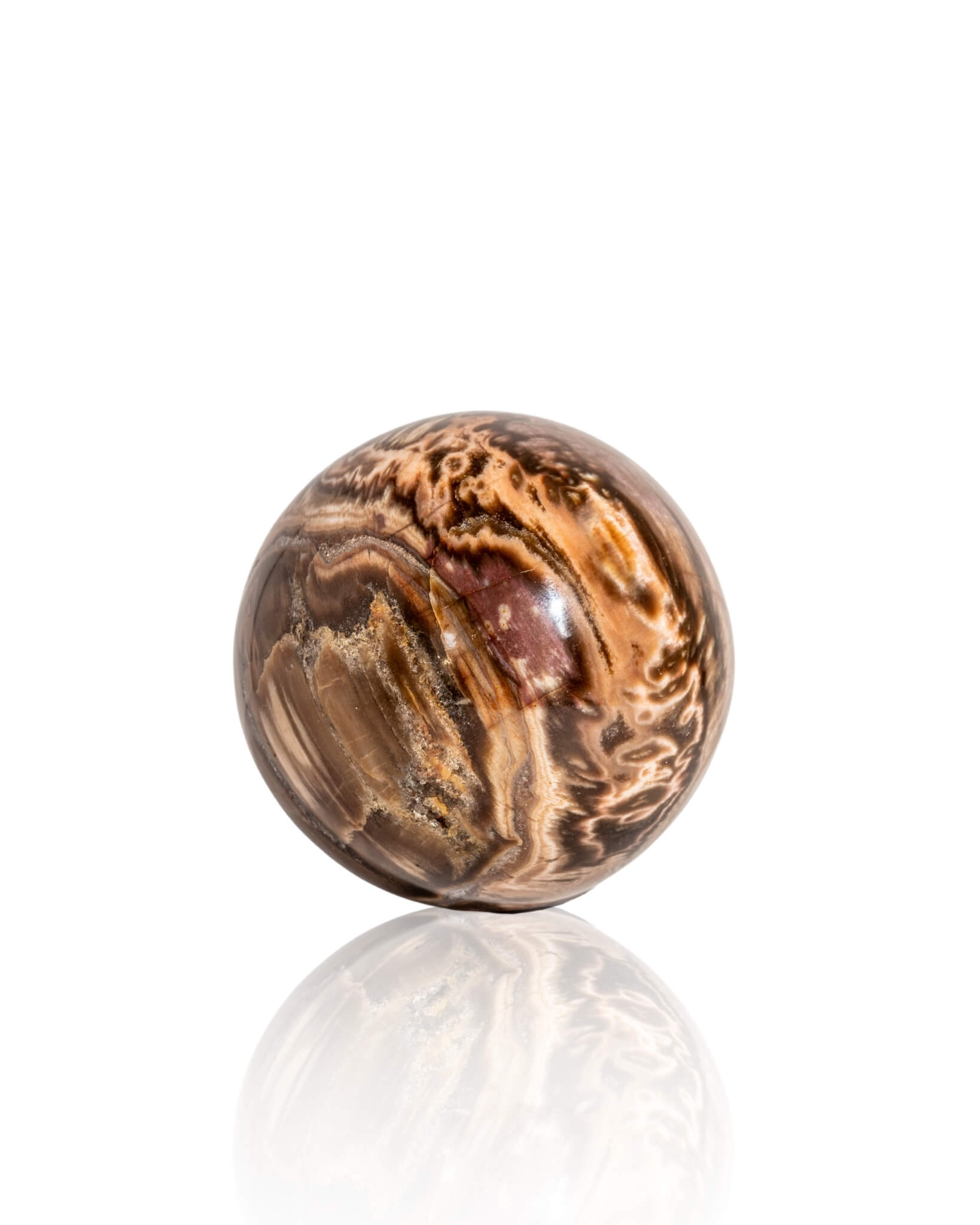 Petrified Wood Sphere - 44