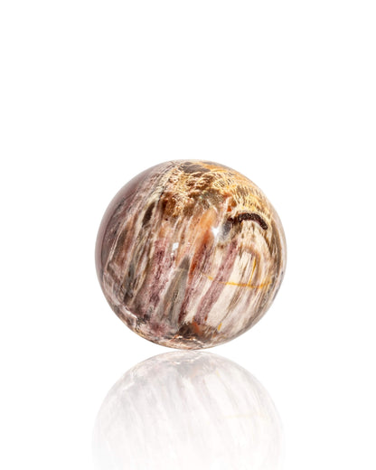 Petrified Wood Sphere - 45