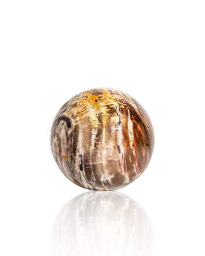 Petrified Wood Sphere - 45