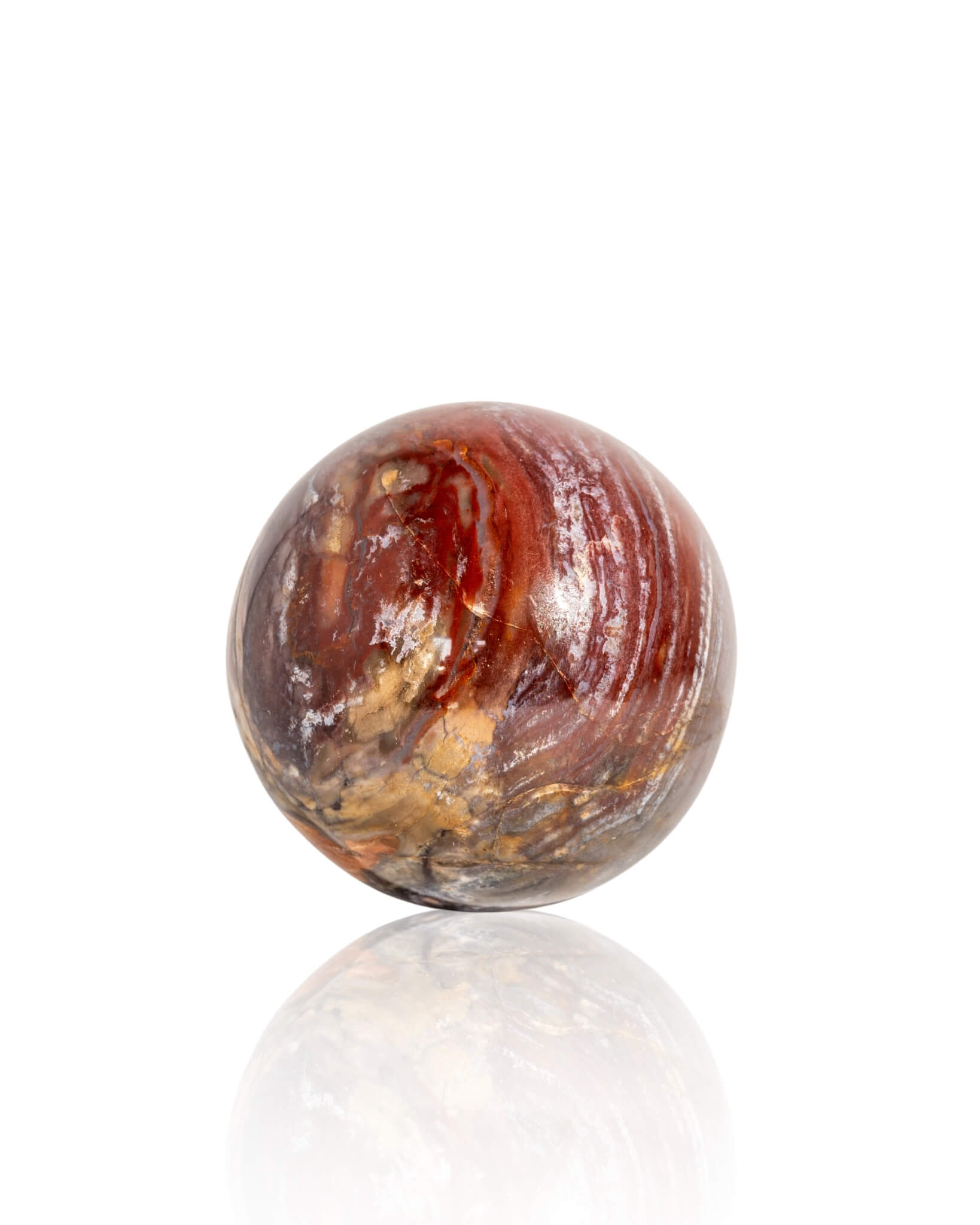 Petrified Wood Sphere - 46