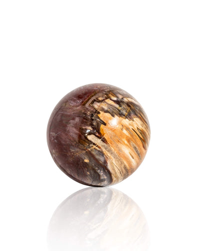 Petrified Wood Sphere - 23
