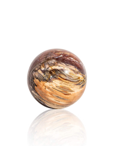 Petrified Wood Sphere - 23