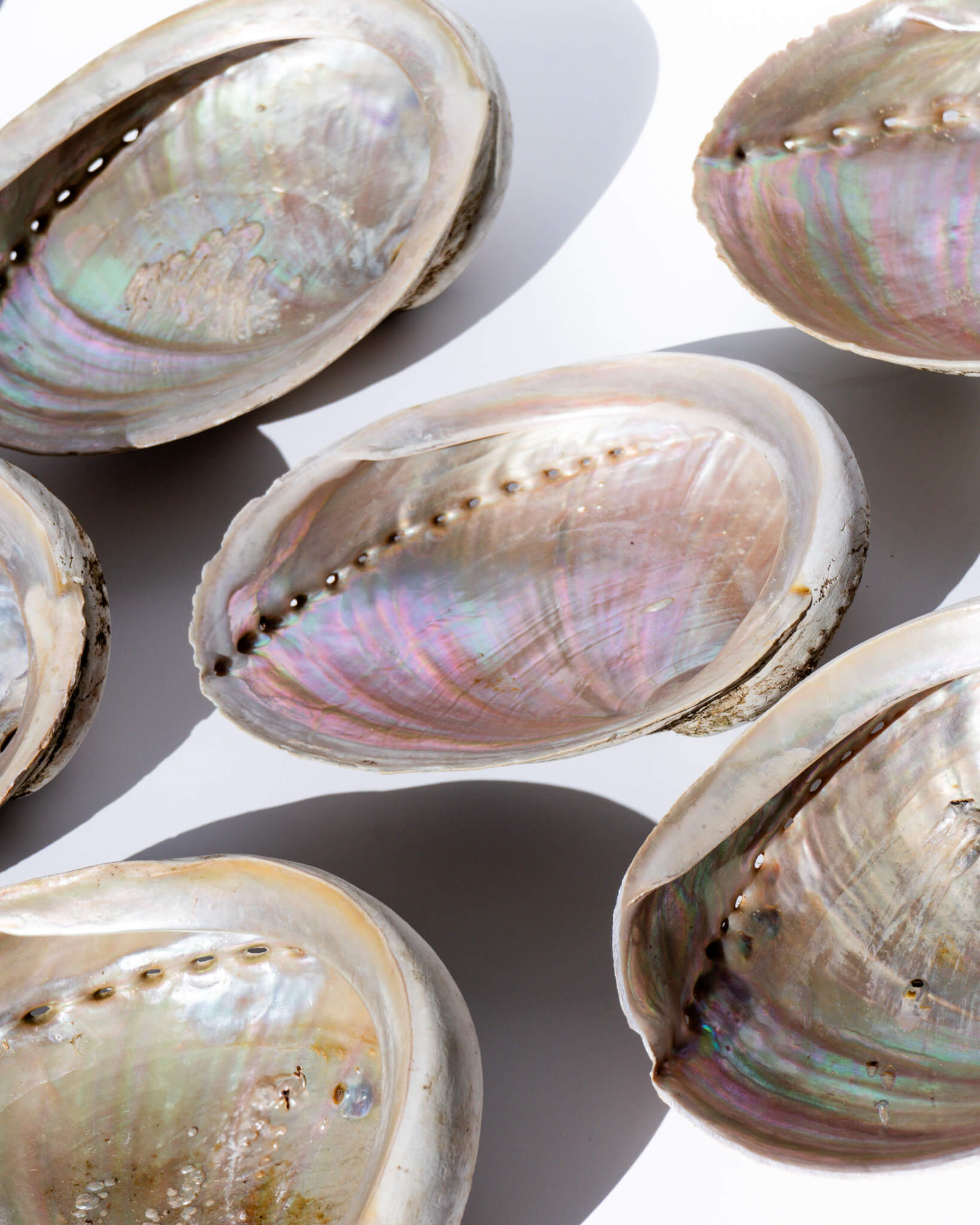 Abalone Shells Natural Iridescence Cleansing Bowl