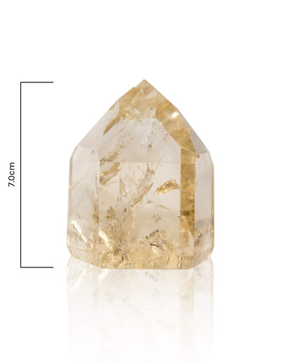 Citrine Tower - 212T