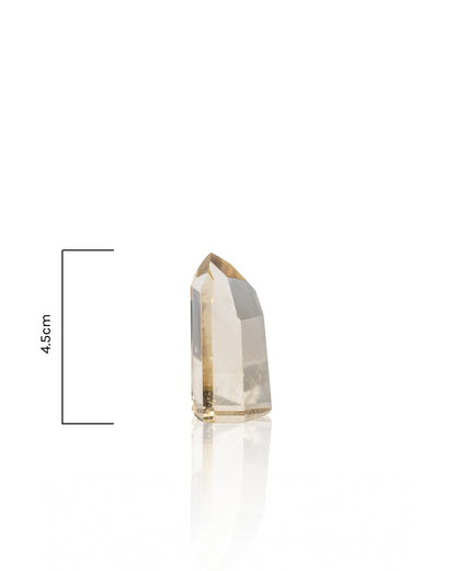 Citrine Towers - 30A