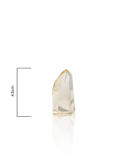 Citrine Towers - 32B