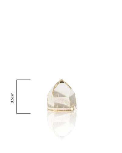 Citrine Towers - 33A