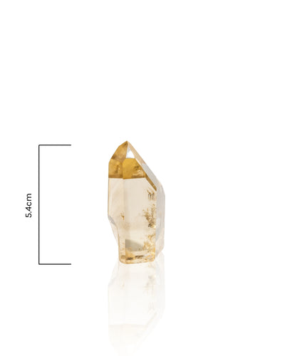 Citrine Tower - 40S