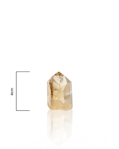 Citrine Tower - 43SS