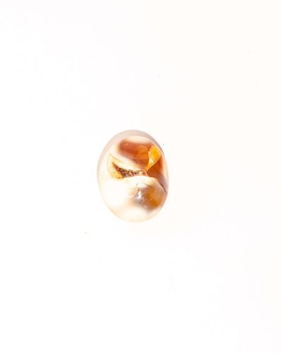Pastel Orca Agate Carnelian - 7B