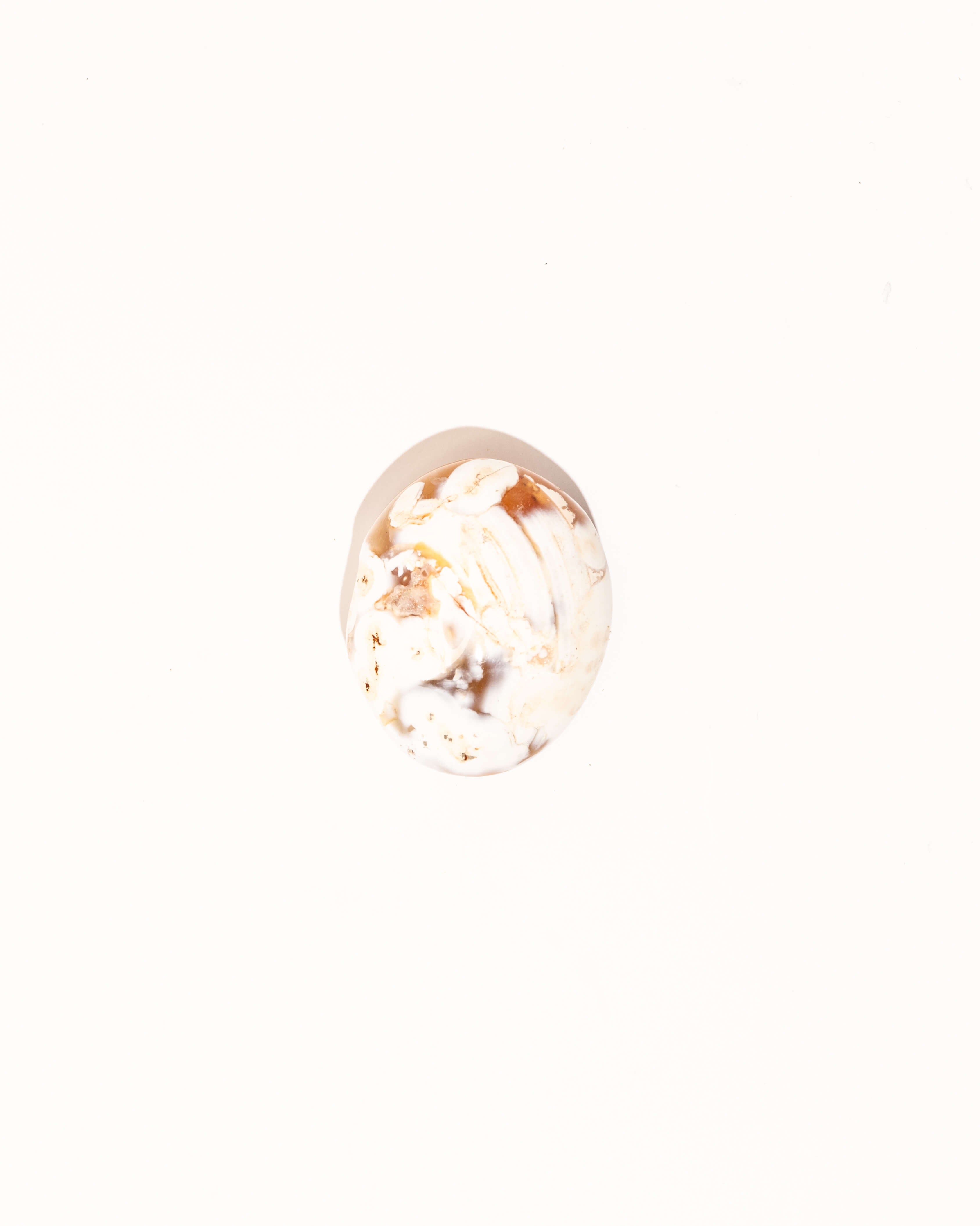 Pastel Orca Agate Carnelian - 9C