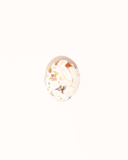 Pastel Orca Agate Carnelian - 9C