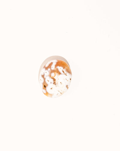 Pastel Orca Agate Carnelian - 9C
