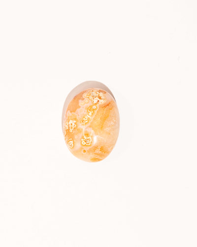 Pastel Orca Agate Carnelian - 13A