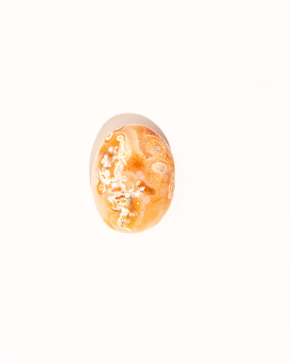 Pastel Orca Agate Carnelian - 13A