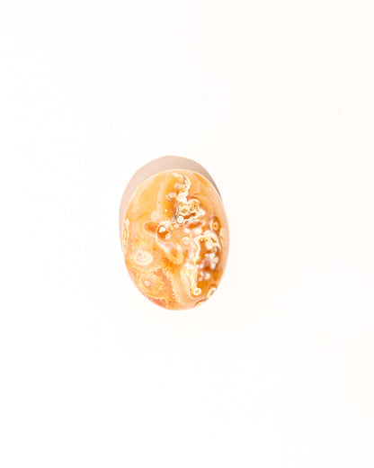 Pastel Orca Agate Carnelian - 13A