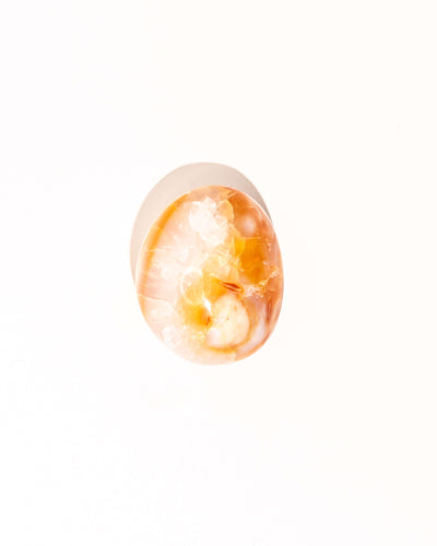 Pastel Orca Agate Carnelian - 22