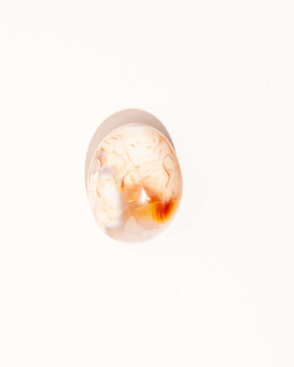 Pastel Orca Agate Carnelian - 22