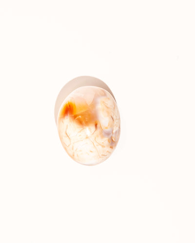 Pastel Orca Agate Carnelian - 22