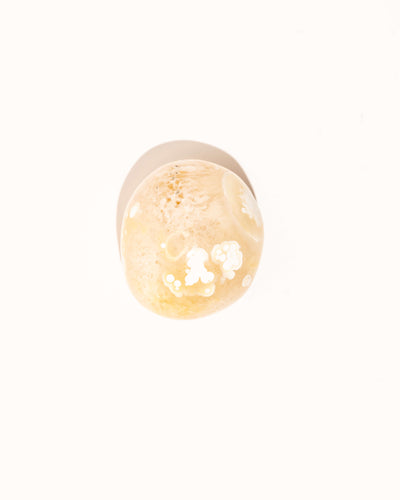Pastel Orca Agate Carnelian - 23A