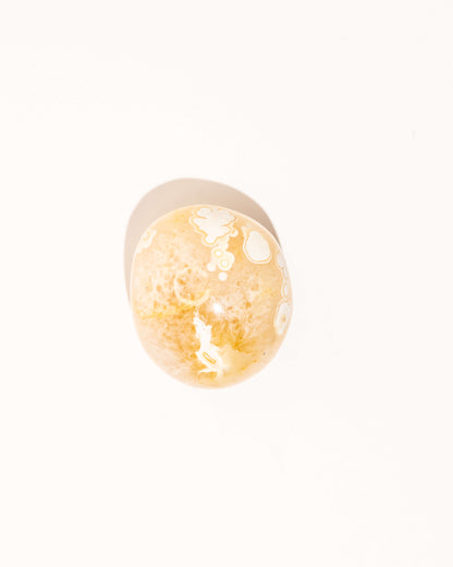 Pastel Orca Agate Carnelian - 23A