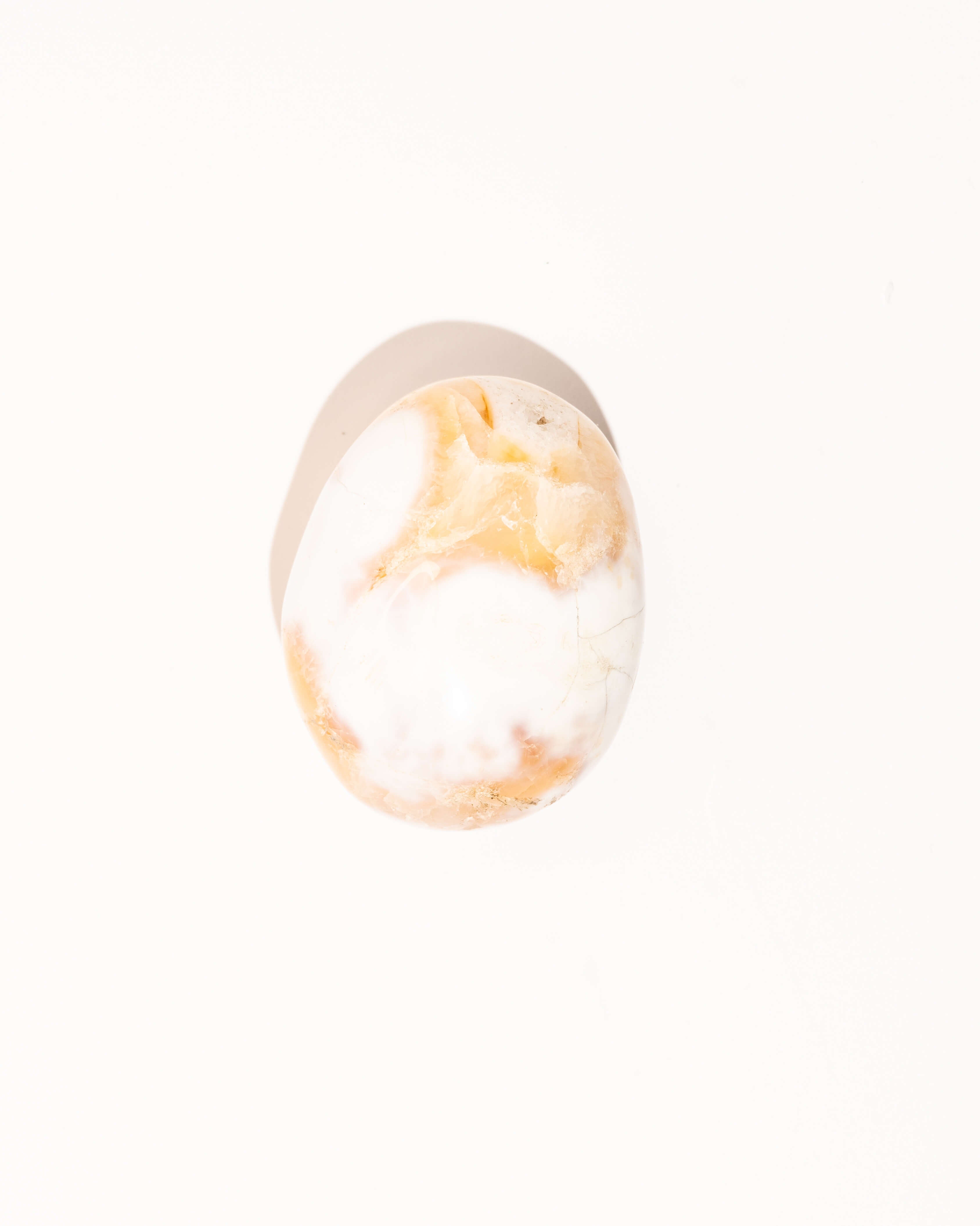 Pastel Orca Agate Carnelian - 21B