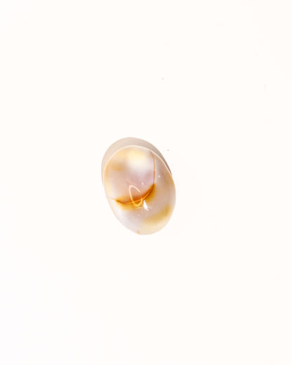 Pastel Orca Agate Carnelian - 9D