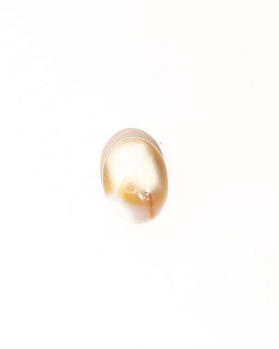 Pastel Orca Agate Carnelian - 9D