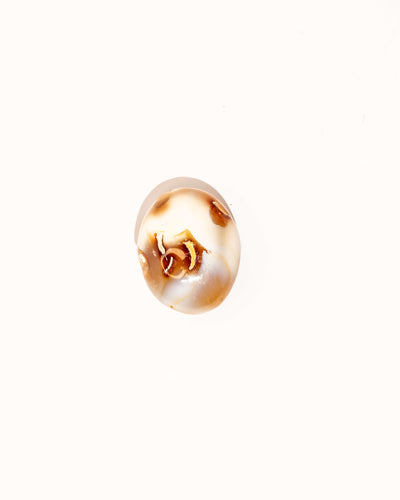 Pastel Orca Agate Carnelian - 9B