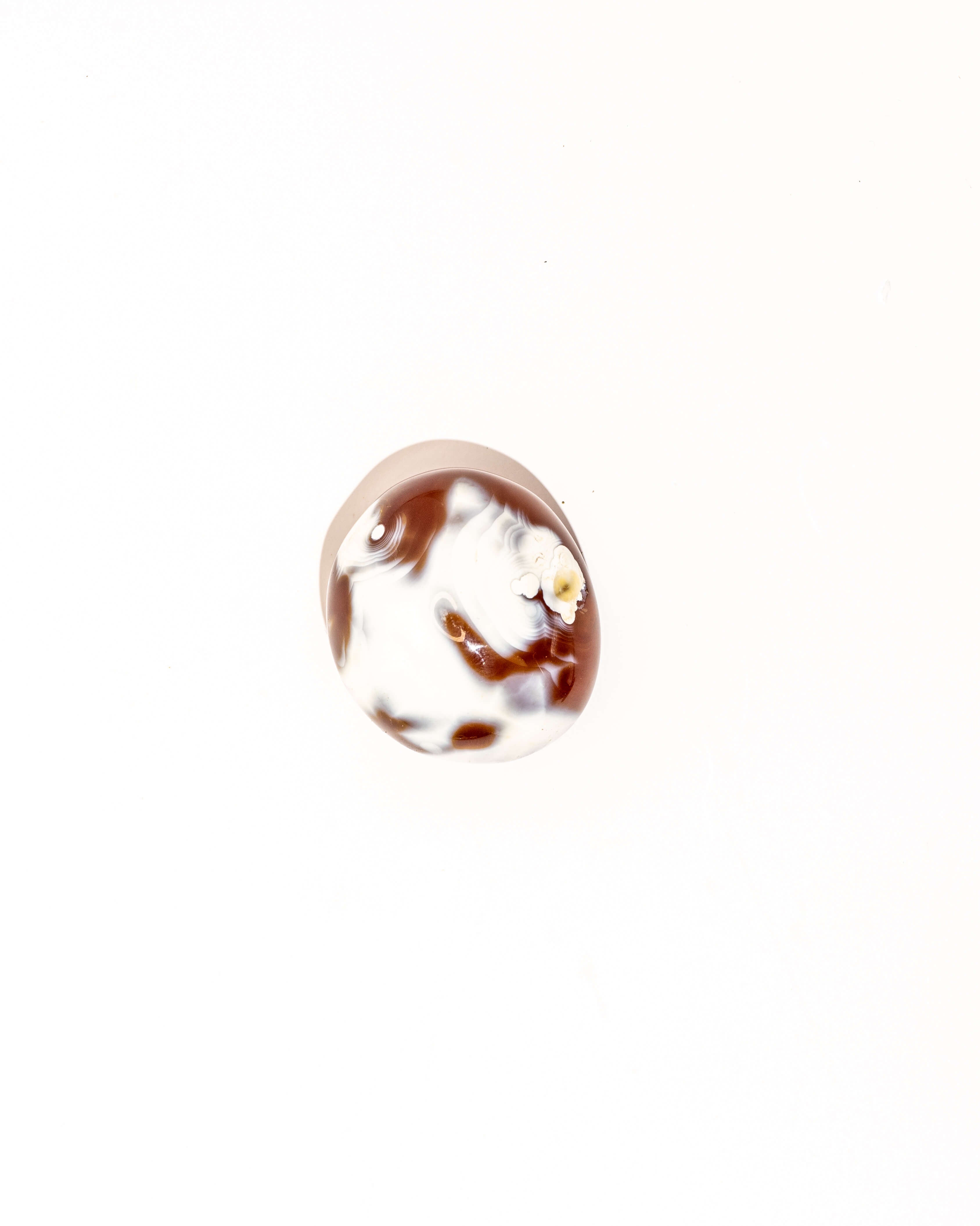 Orca Agate Carnelian - 10i