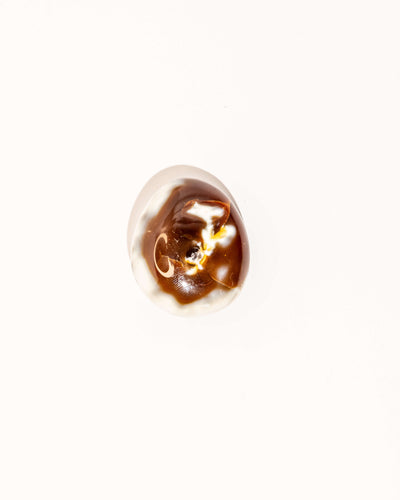 Orca Agate Carnelian - 10E