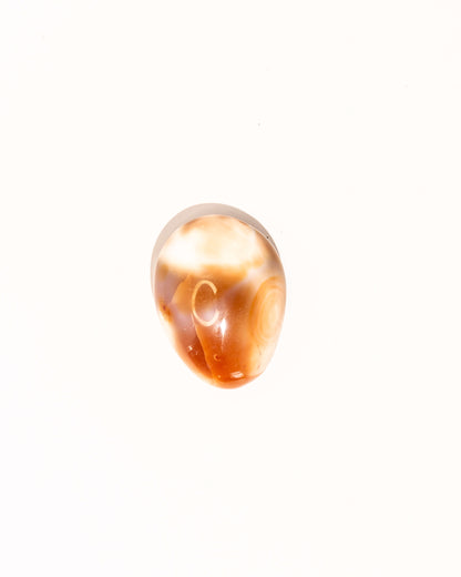 Pastel Orca Agate Carnelian - 11B