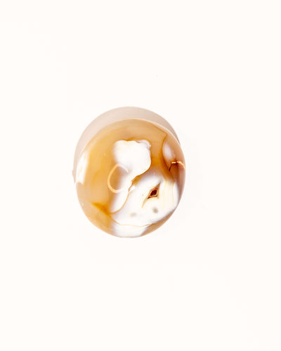 Pastel Orca Agate Carnelian - 19