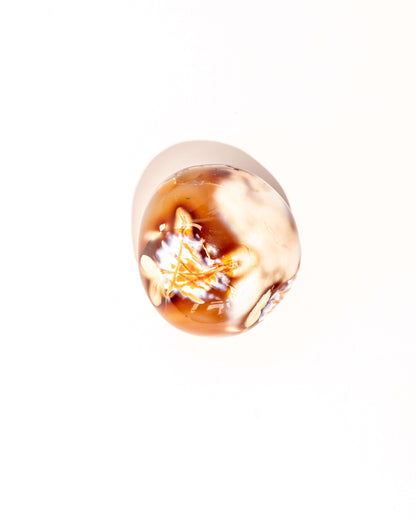 Orca Agate Carnelian - 17B