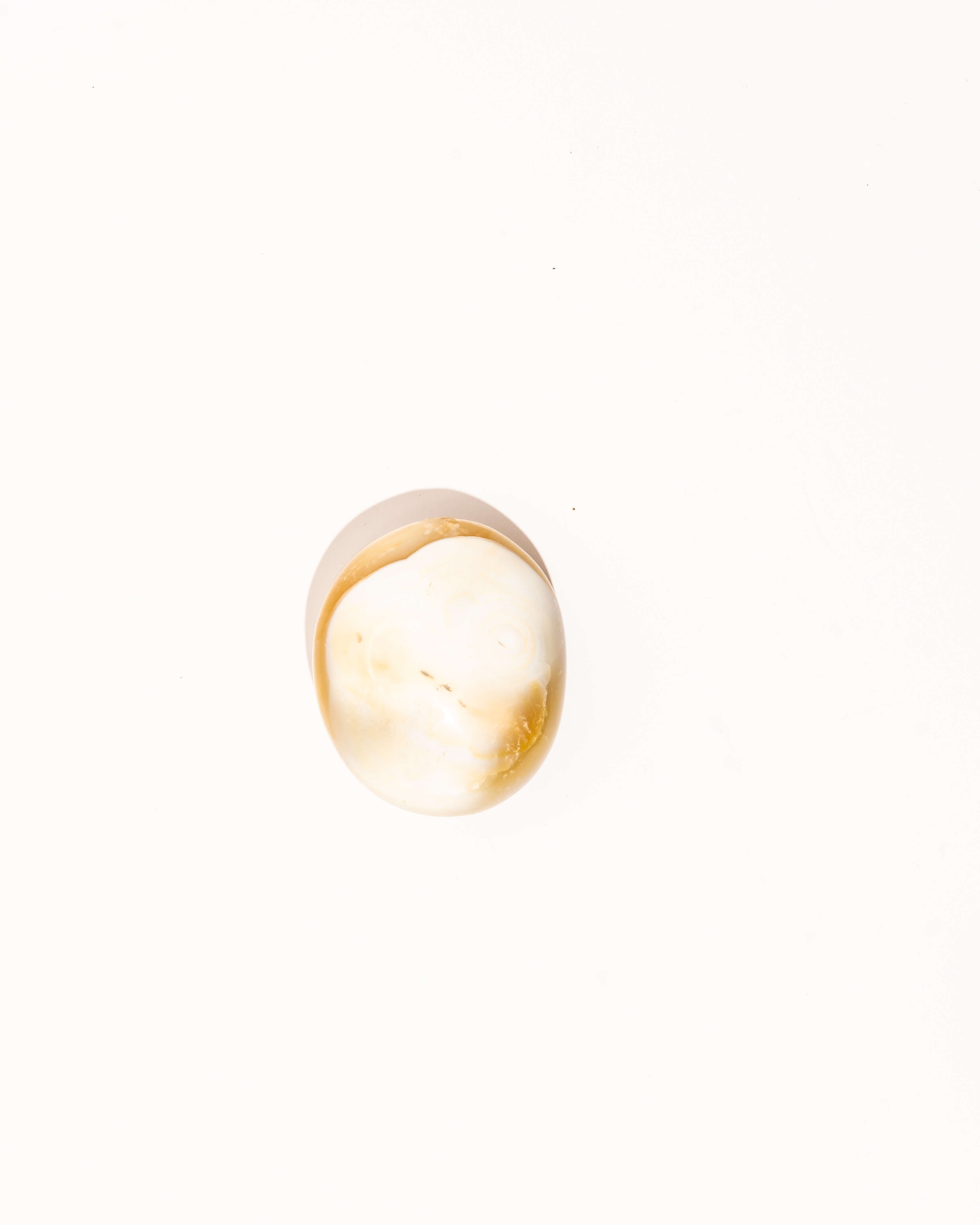 Pastel Orca Agate - 8C