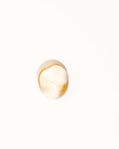 Pastel Orca Agate - 8C