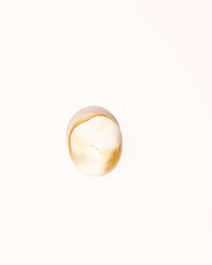 Pastel Orca Agate - 8C