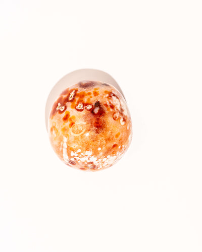 Pastel Orca Agate Carnelian - 29A