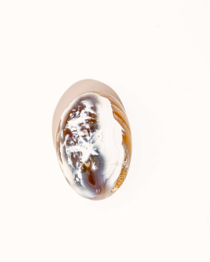 Orca Agate Carnelian - 21