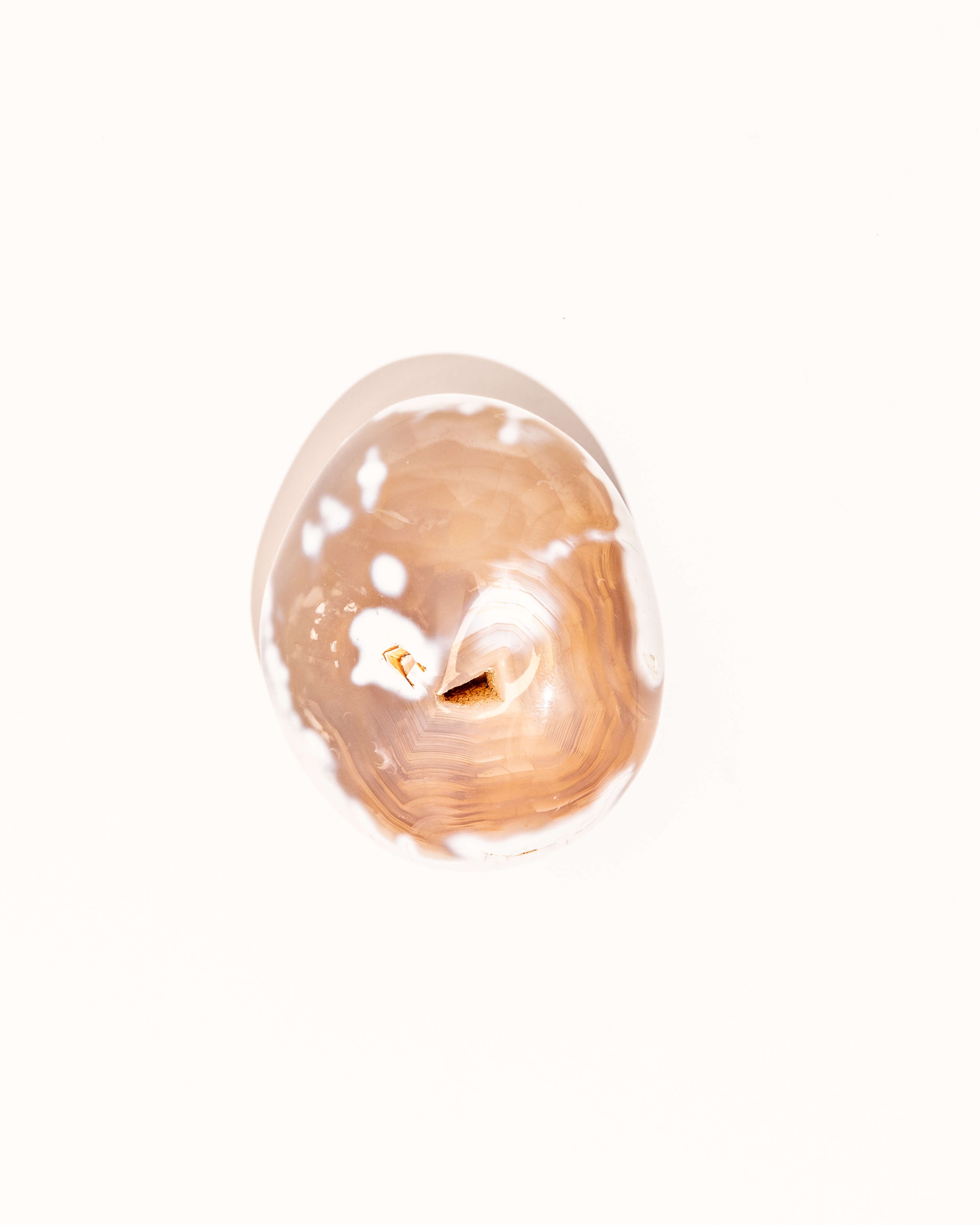 Pastel Orca Agate Carnelian - 28