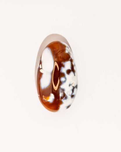 Orca Agate Carnelian - 22